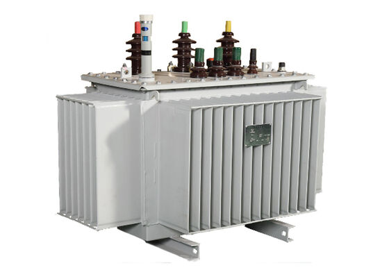 Fully Sealed 10kV Oil Immersed Transformer Anti Aging Strong Insulation Distribution